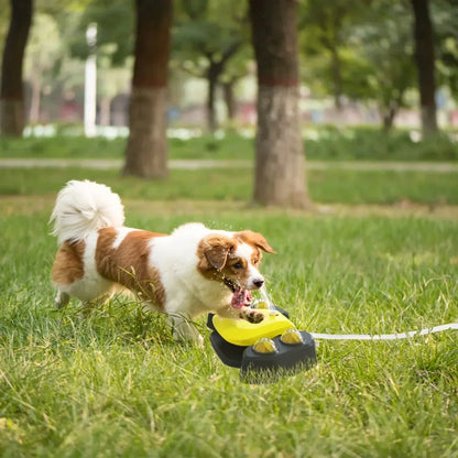 Automatic Outdoor Dog Water Fountain